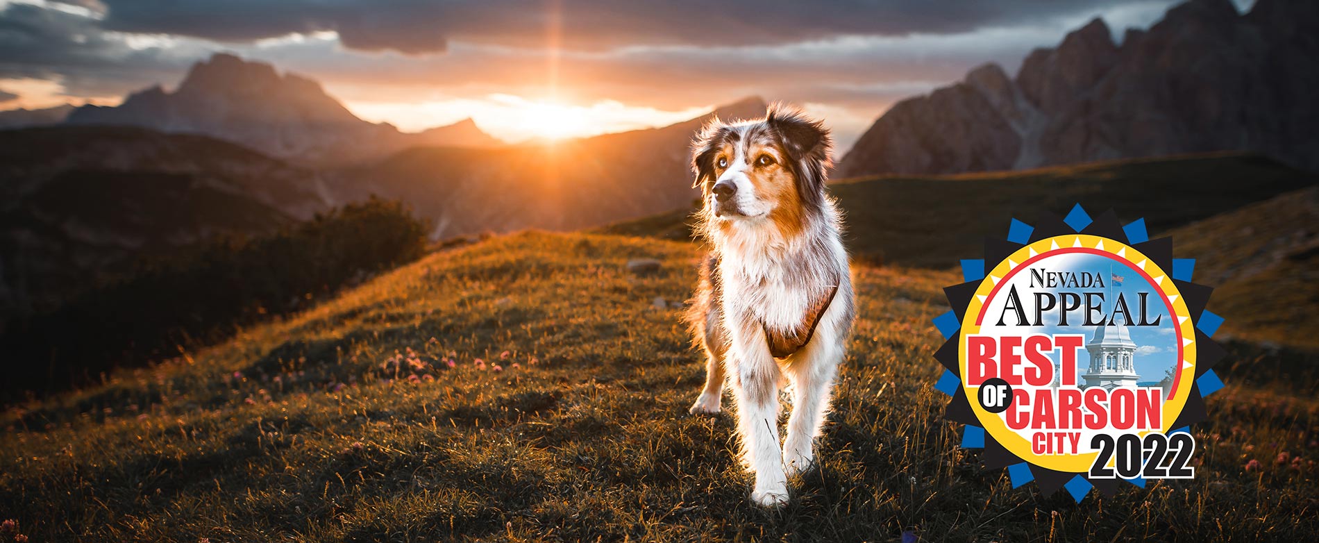 Client Center Timberline Animal Hospital in Carson City NV