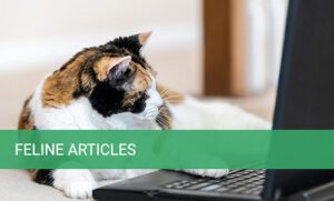 feline-articles