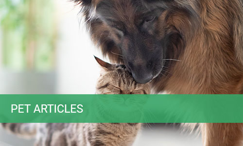 pet-articles