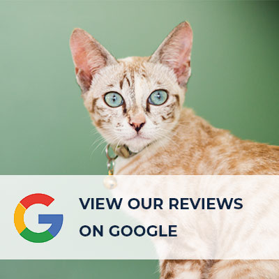Online Reviews at Timberline Animal Hospital