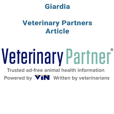 giardia-veterinary-partners