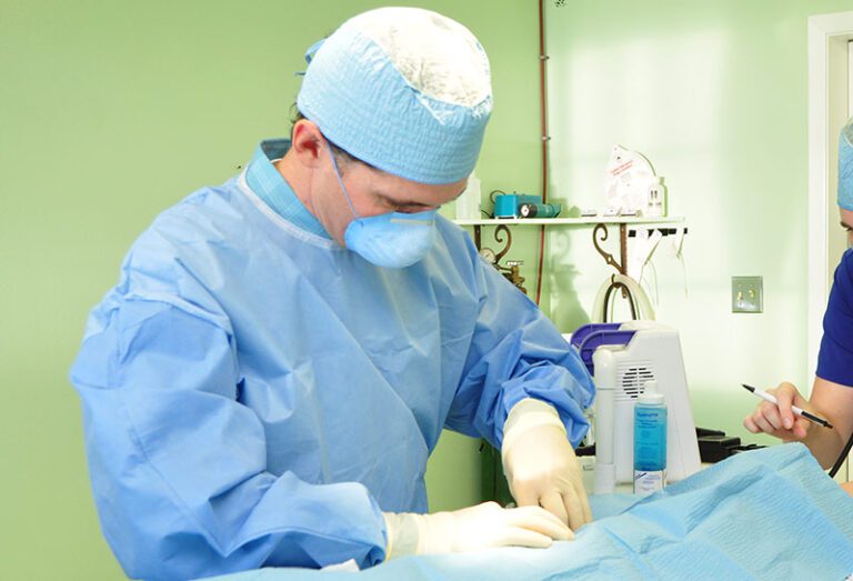 Pet Surgical Services Timberline Animal Hospital Carson City, NV Vet