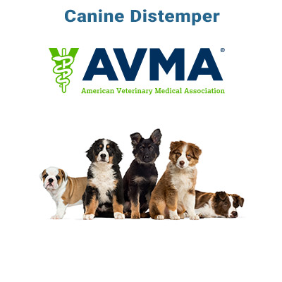 canine-distemper