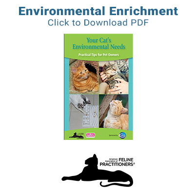 environmental-enrichment