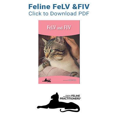 FeLV and FLV Information PDF