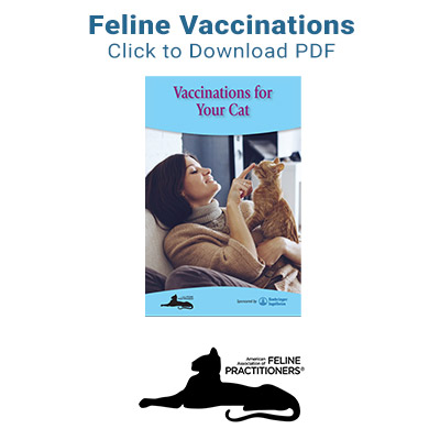 Feline Vaccination Information PDF