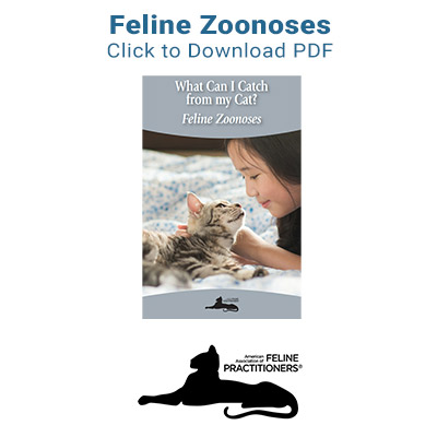 feline-zoonoses