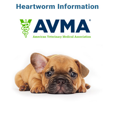 heartworm-info-avma