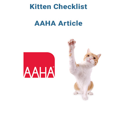 kitten-checklist