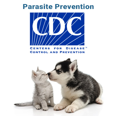 parasite-prevention-cdc