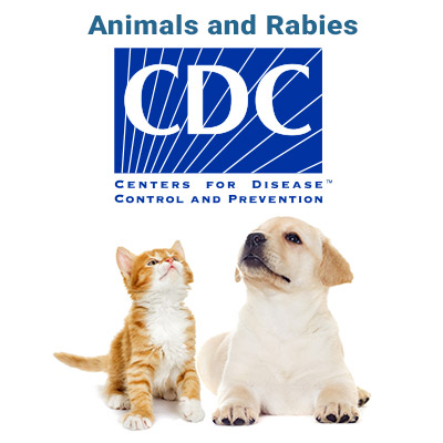 rabies-cdc-article