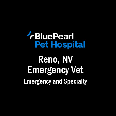 Blue Pearl Emergency Vet