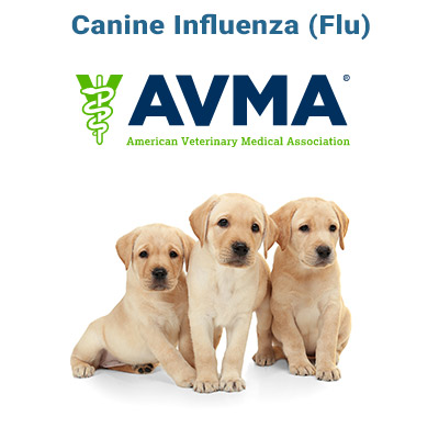 canine-flu-avma