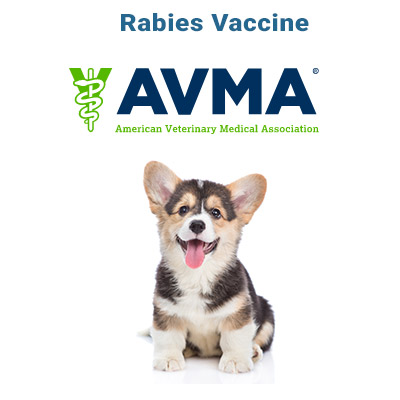 Canine Rabies Article