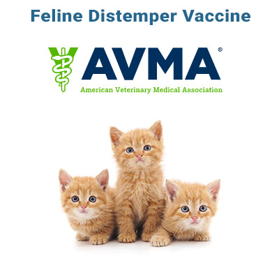 Feline Distemper Vaccine Information