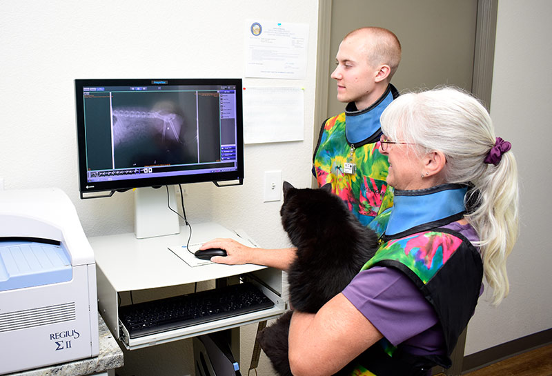 Digital X-ray Services at Timberline Animal Hospital
